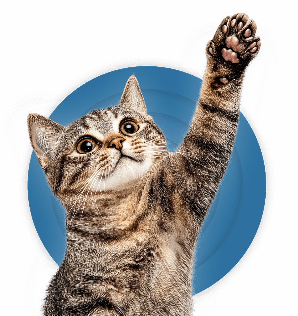 Veterinarska ambulanta- Vakcinacija pasa i mačaka - Beograd, Srbija