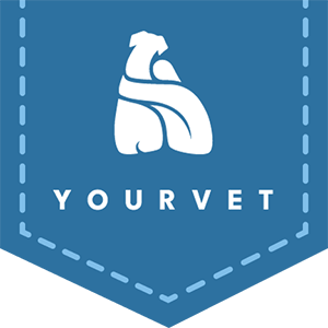 YourVet ambulanta logo srbija