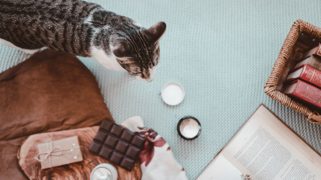 namirnice opasne po pse i mačke